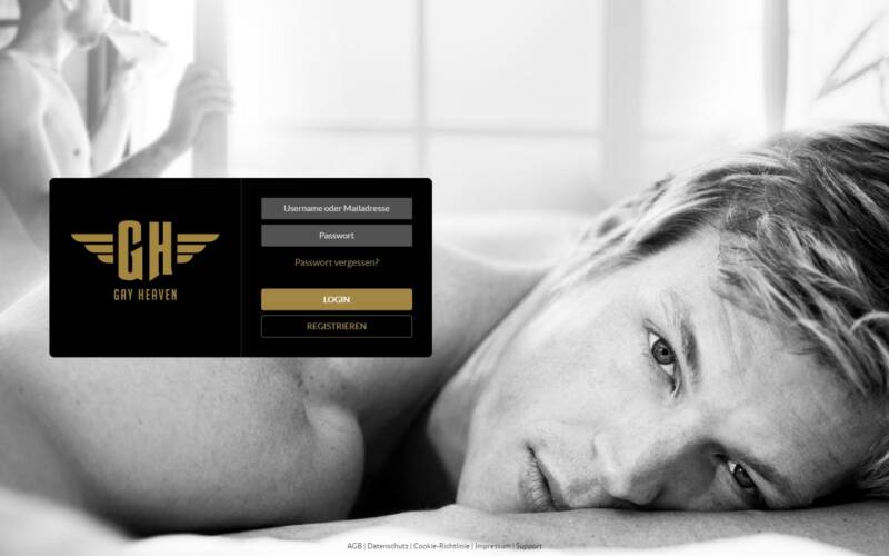 GayHeaven.net Startseite Testbericht