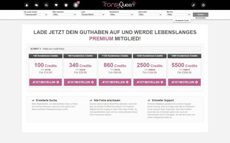 Testbericht TransyQueen.com Kosten
