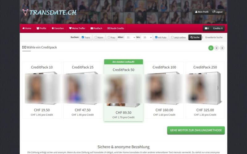 TransDate.ch Kosten