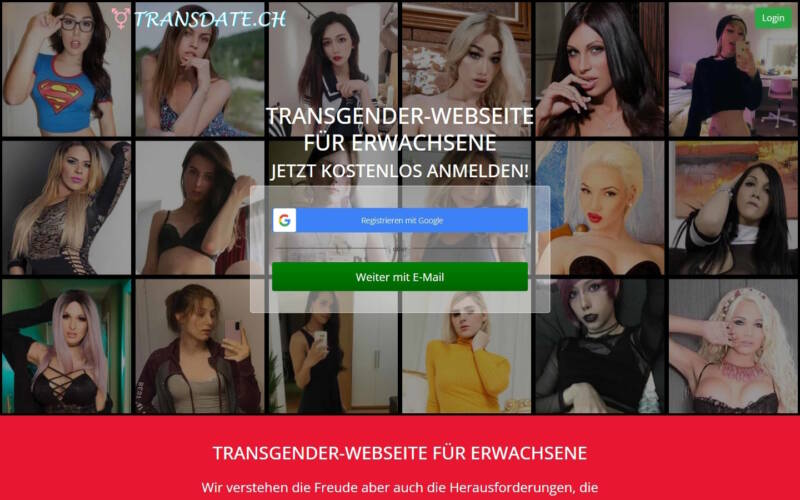 TransDate.ch Startseite Testbericht