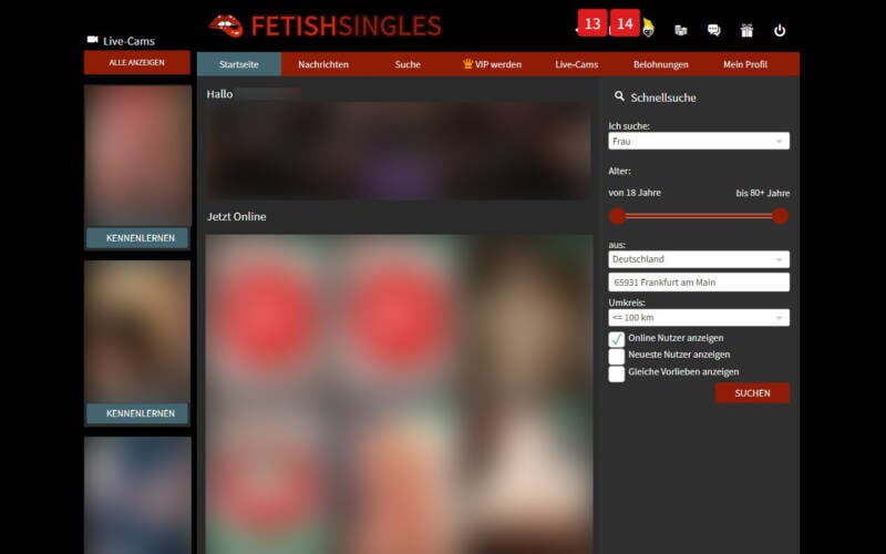 FetishSingles.online Mitgliederbereich