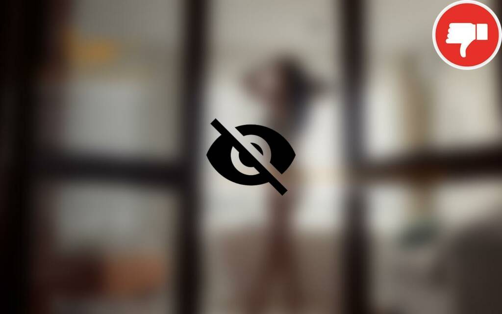 Testbericht LenaDating.com Abzocke