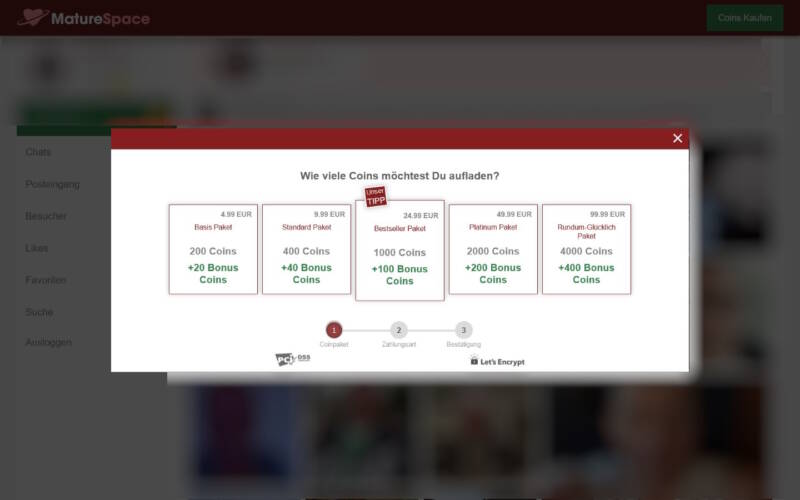 MatureSpace.com Kosten