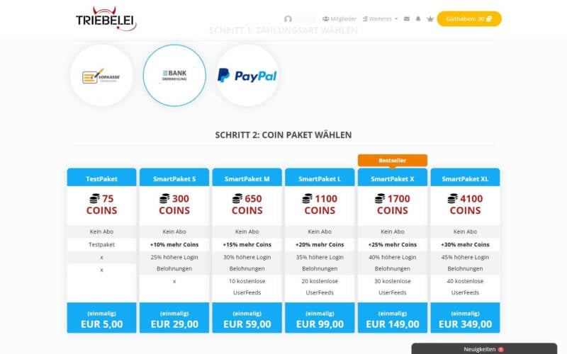 Testbericht Triebelei.com Kosten