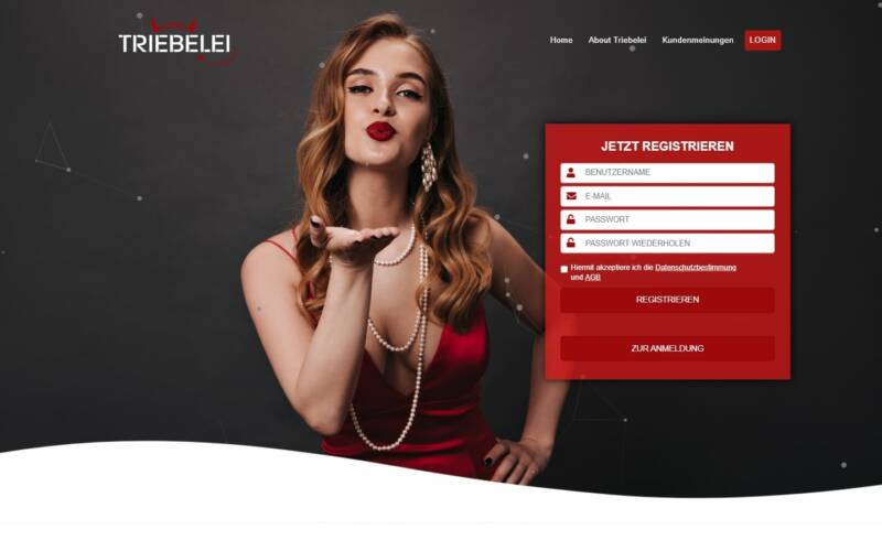 Triebelei.com Startseite Testbericht