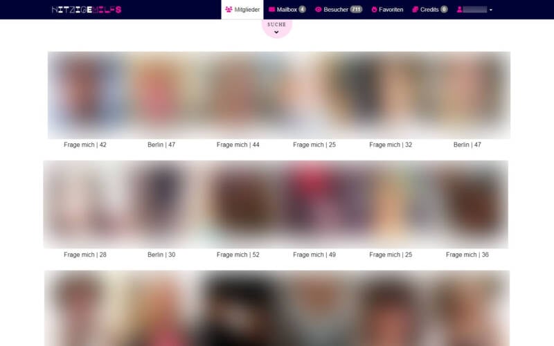 Testbericht HitzigeMilfs.com Mitgliederbereich