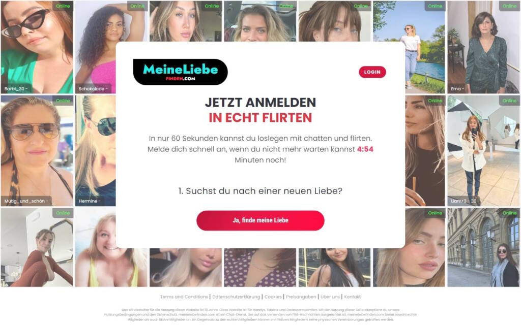 MeineLiebeFinden.com Startseite Testbericht