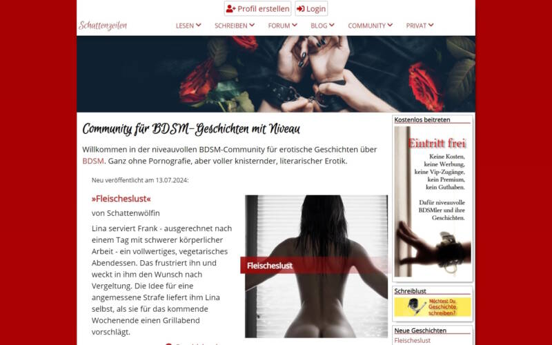 Schattenzeilen.de Startseite Testbericht