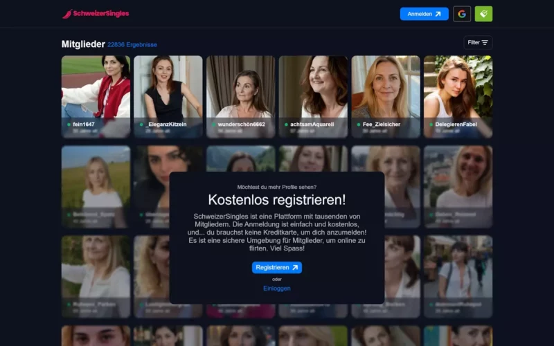 Startseite Schweizersingles Testbericht