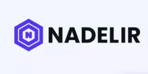 Nadelir LTD - Logo